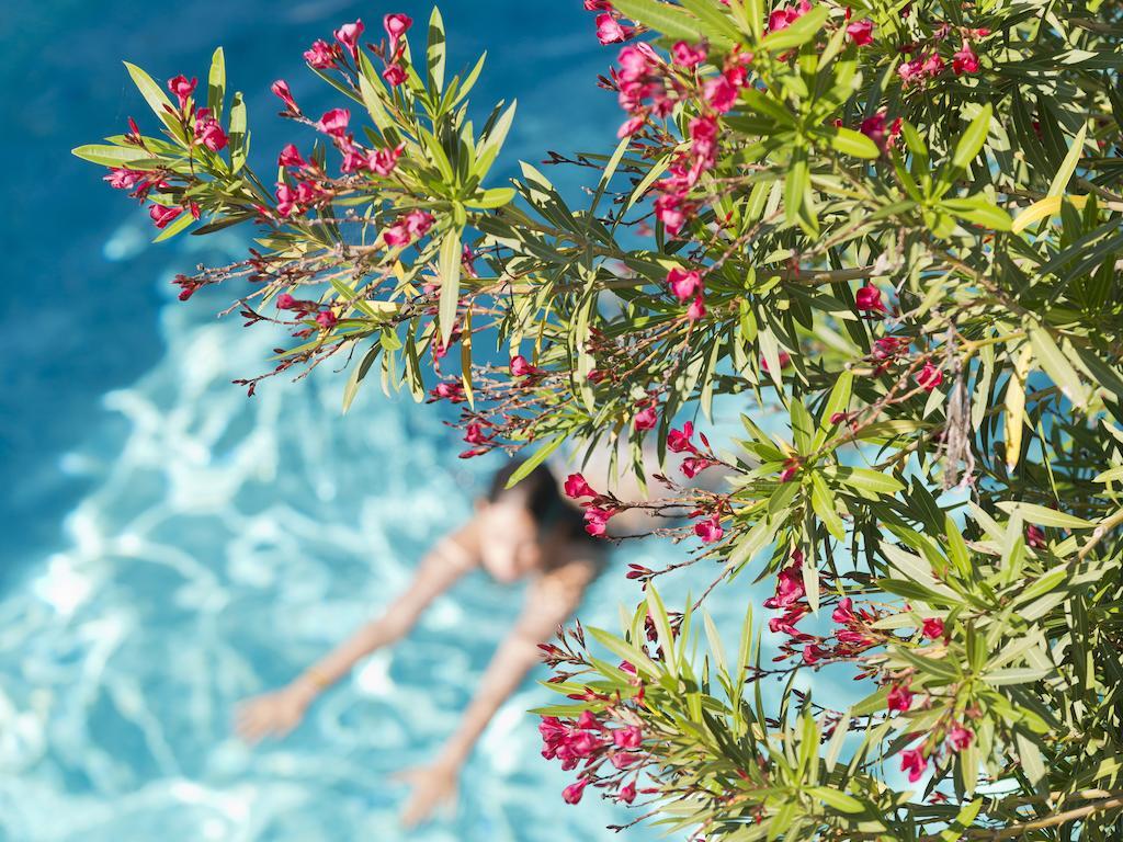 Le Val Duchesse Hotel & Appartements Cagnes-sur-Mer Exterior foto